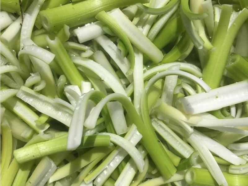 Coscollada a la font de les Pollineres